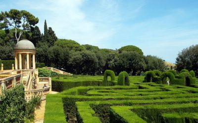 Green Oases in Barcelona: 7 Charming Gardens Near Hotel Continental