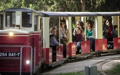 Barcelona in green: family walks steeped in history and nature